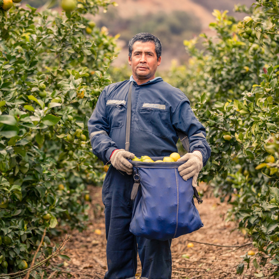 Terrehappy Terre Happy branding food packaging agence de communication Belgique Bruxelles graphisme Studio Fiftyfifty logo écologie eco brand