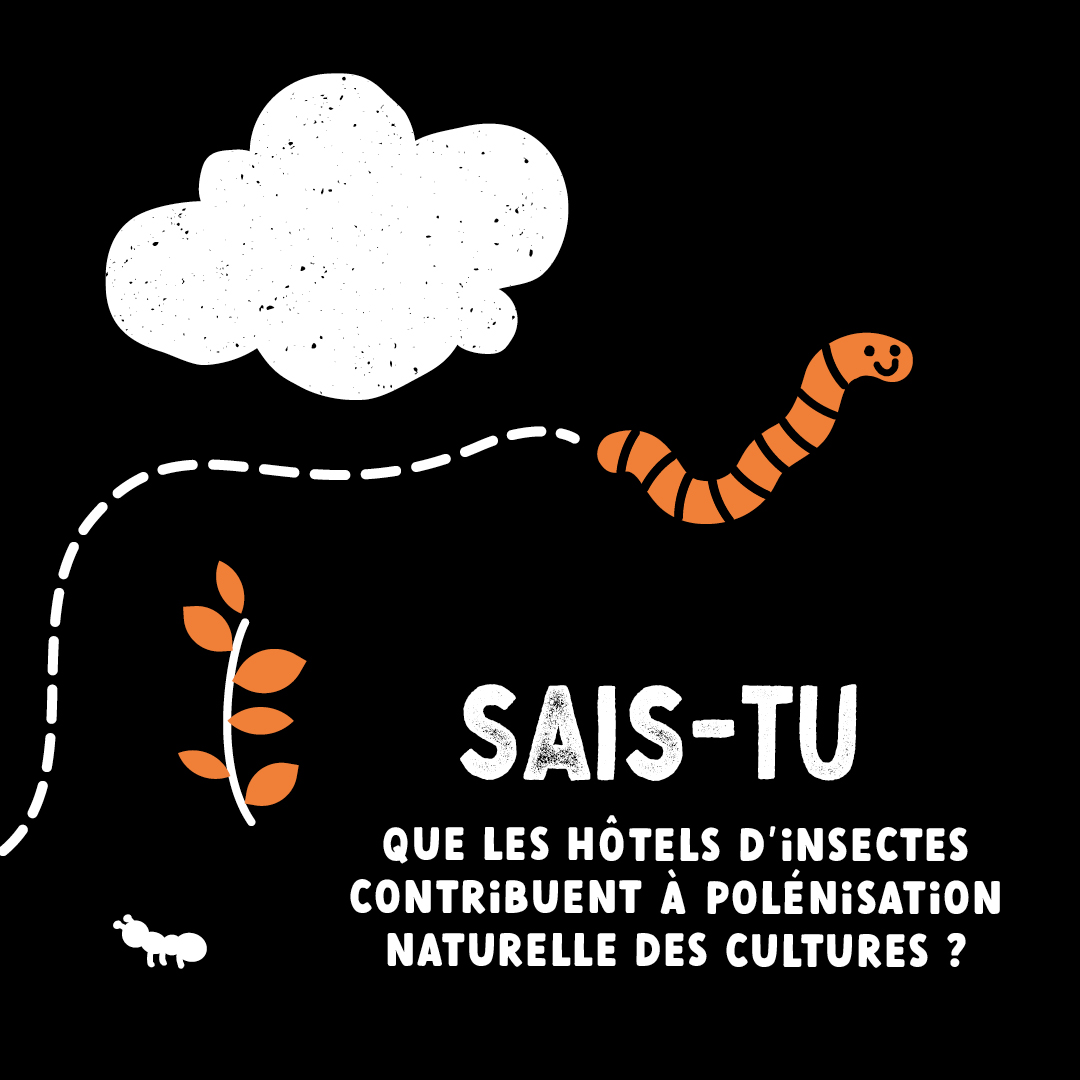 Terrehappy Terre Happy branding food packaging agence de communication Belgique Bruxelles graphisme Studio Fiftyfifty logo écologie eco brand