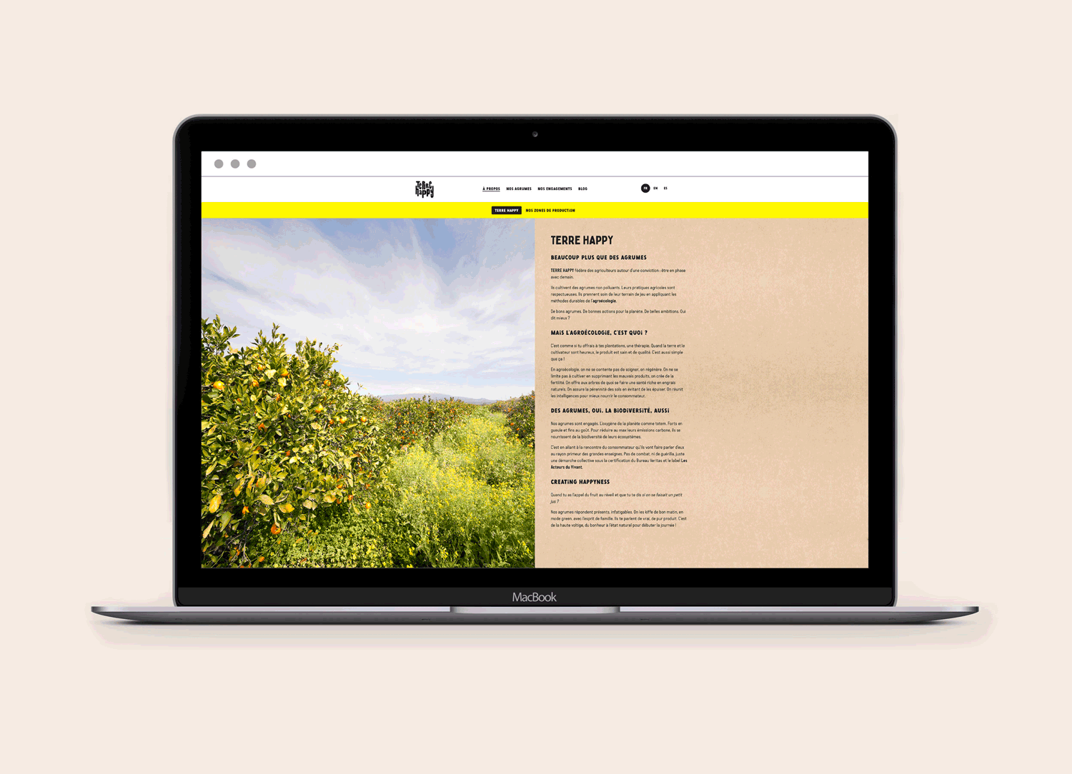 Terrehappy Terre Happy branding food packaging agence de communication Belgique Bruxelles graphisme Studio Fiftyfifty logo écologie eco brand