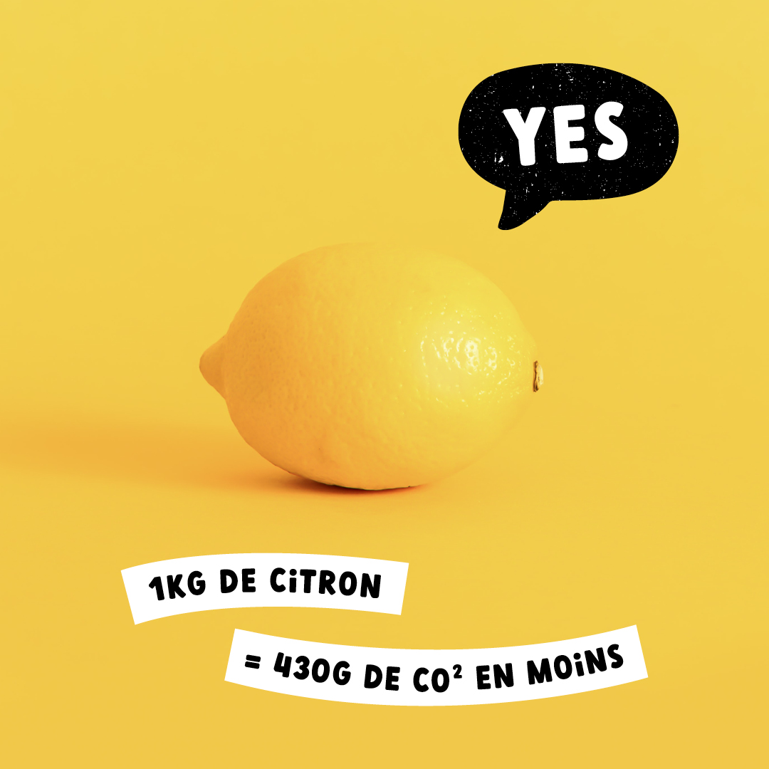 Terrehappy Terre Happy branding food packaging agence de communication Belgique Bruxelles graphisme Studio Fiftyfifty logo écologie eco brand