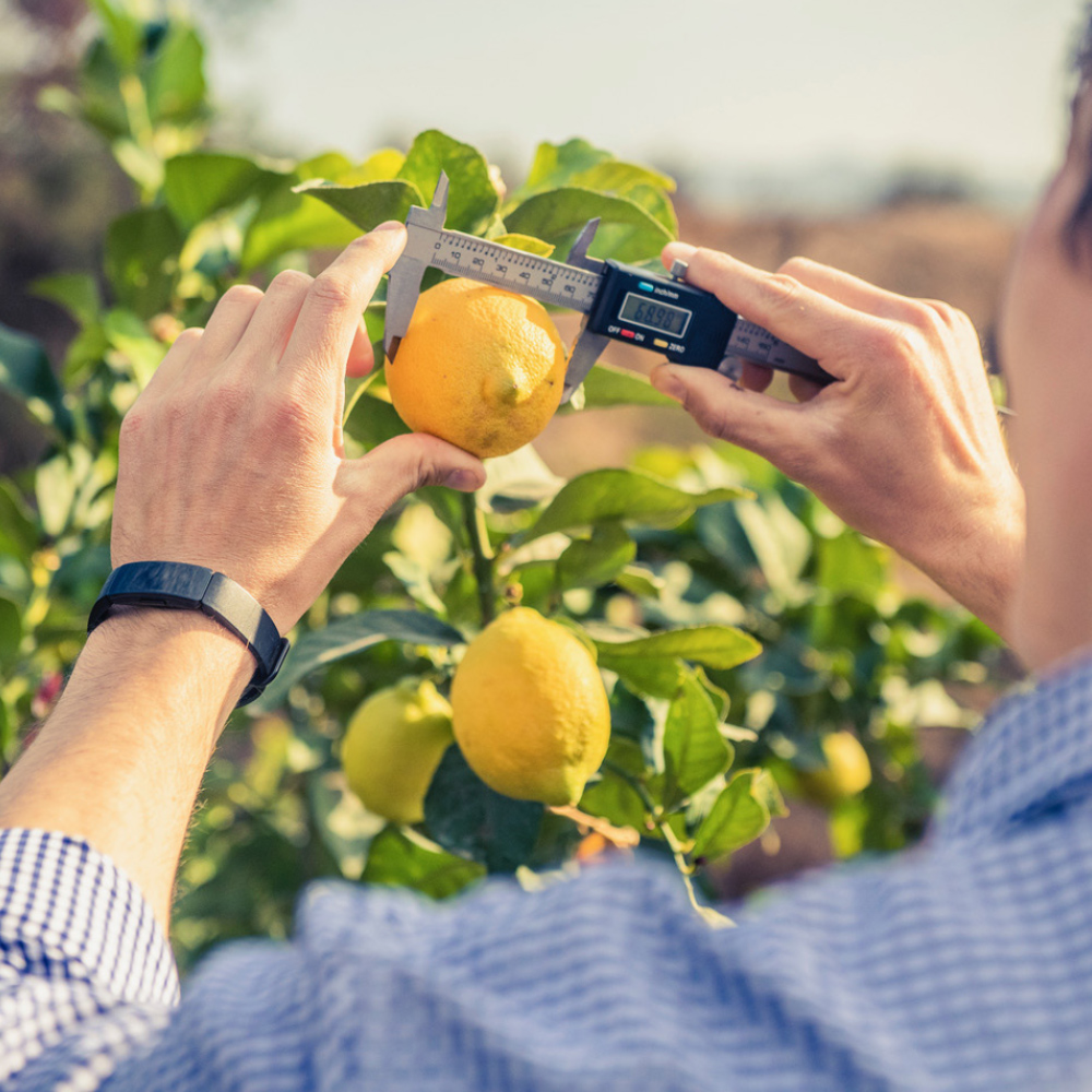 Terrehappy Terre Happy branding food packaging agence de communication Belgique Bruxelles graphisme Studio Fiftyfifty logo écologie eco brand