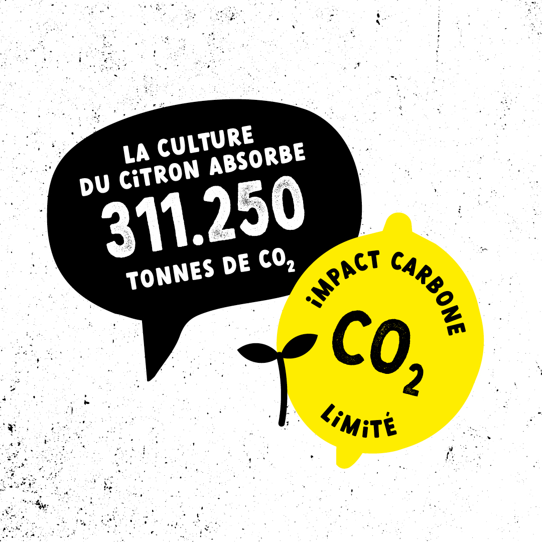 Terrehappy Terre Happy branding food packaging agence de communication Belgique Bruxelles graphisme Studio Fiftyfifty logo écologie eco brand