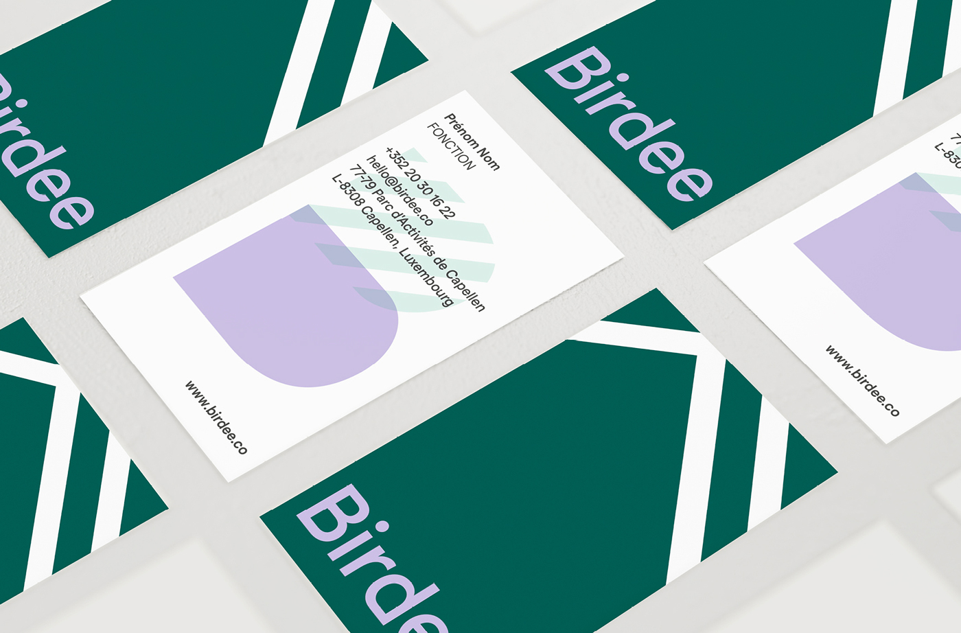 birdee, graphisme, graphiste, waterloo, bruxelles, agence, communication, logo, création de site web, web design, storytelling