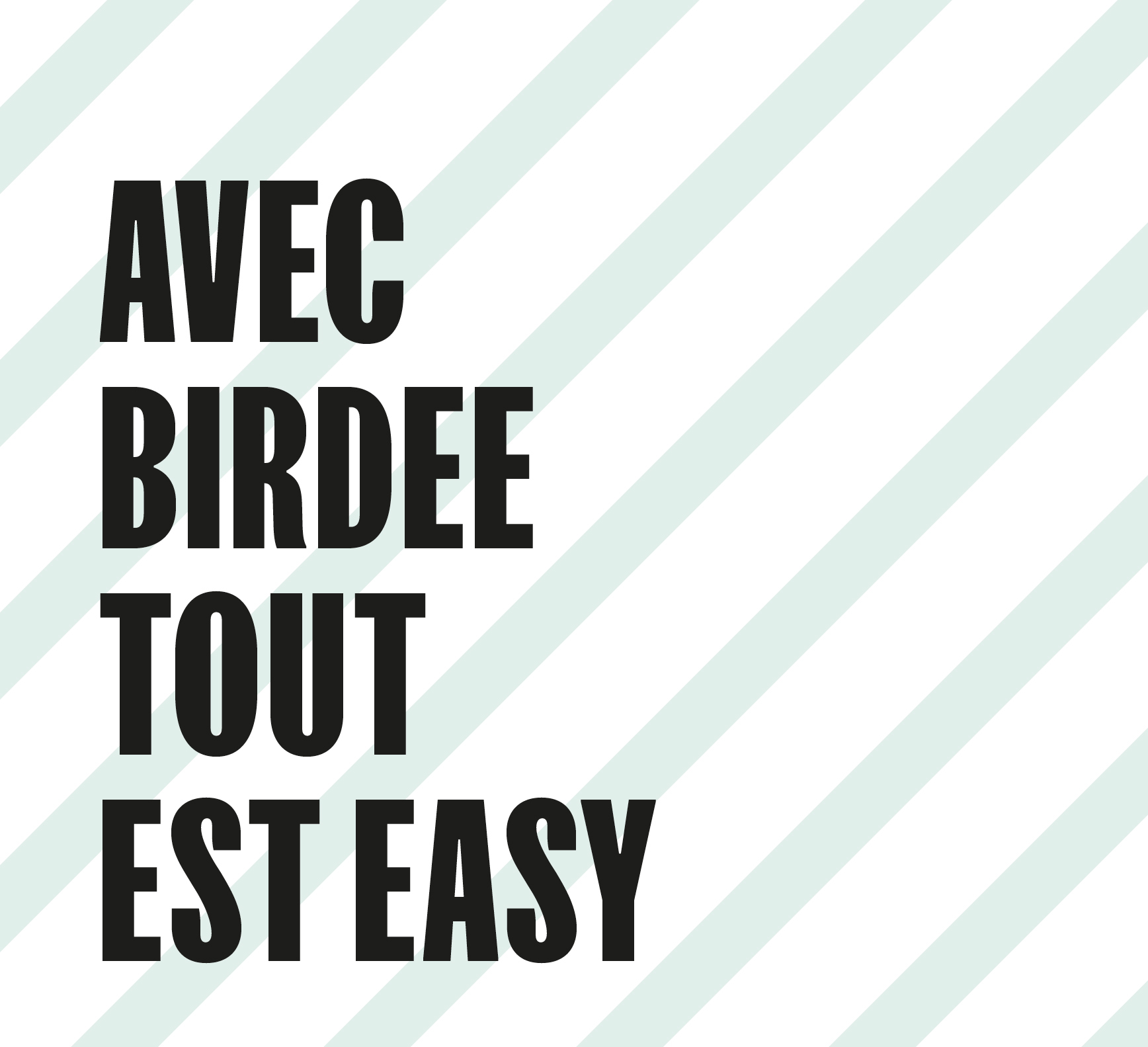 birdee, graphisme, graphiste, waterloo, bruxelles, agence, communication, logo, création de site web, web design, storytelling