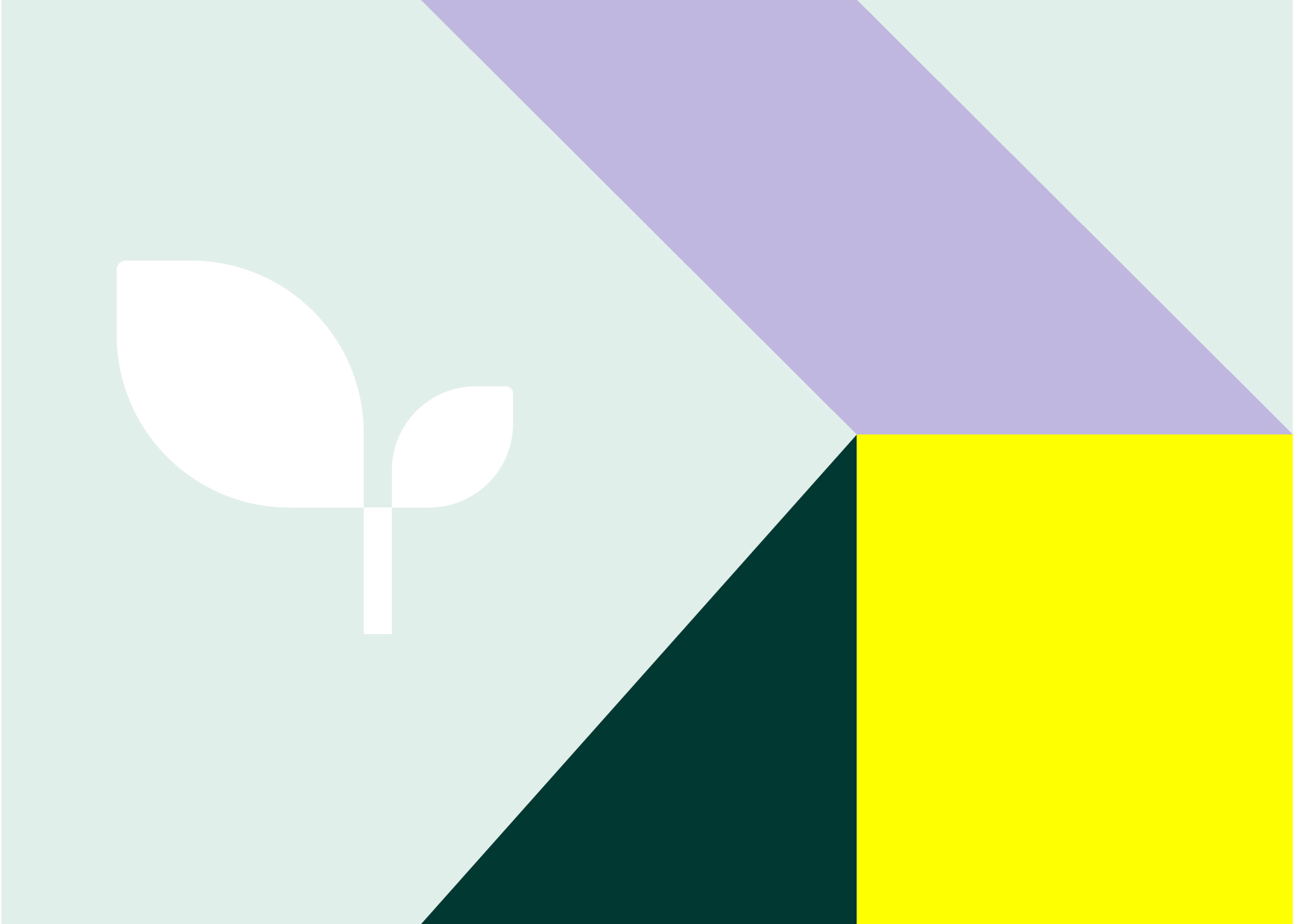 birdee, graphisme, graphiste, waterloo, bruxelles, agence, communication, logo, création de site web, web design, storytelling